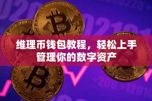 维理币钱包教程，轻松上手管理你的数字资产