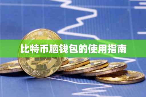 比特币脑钱包的使用指南