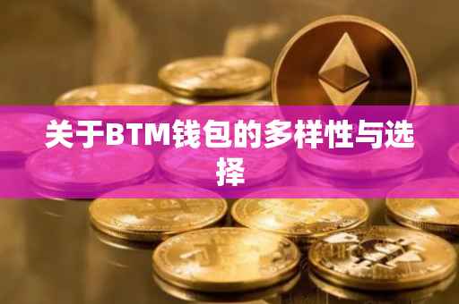 关于BTM钱包的多样性与选择