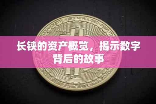 长铗的资产概览,揭示数字背后的故事