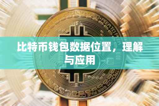 比特币钱包数据位置，理解与应用