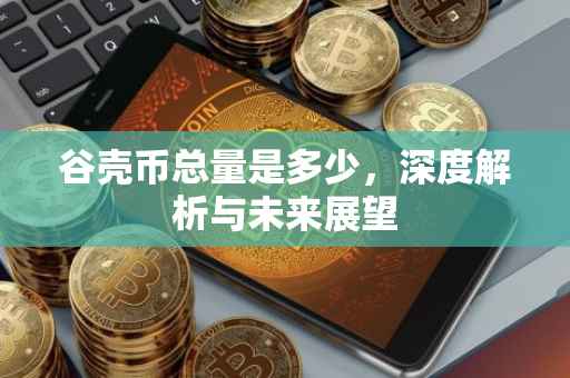 谷壳币总量是多少，深度解析与未来展望