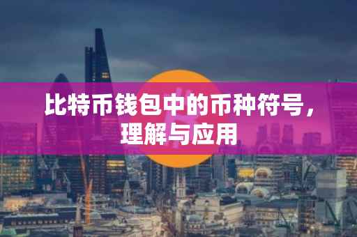 比特币钱包中的币种符号，理解与应用