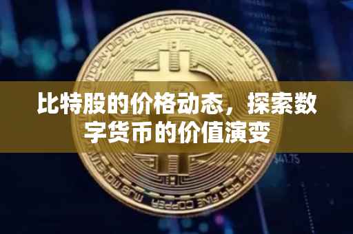 比特股的价格动态，探索数字货币的价值演变
