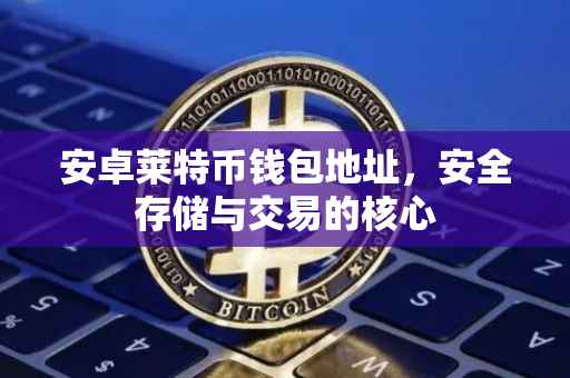 安卓莱特币钱包地址，安全存储与交易的核心