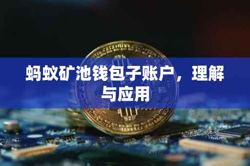 蚂蚁矿池钱包子账户，理解与应用