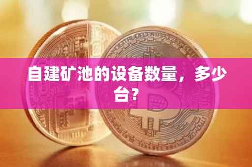 自建矿池的设备数量，多少台？