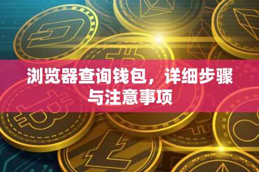 浏览器查询钱包，详细步骤与注意事项