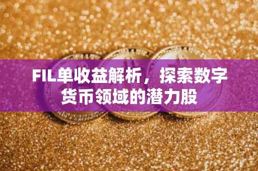 FIL单收益解析，探索数字货币领域的潜力股