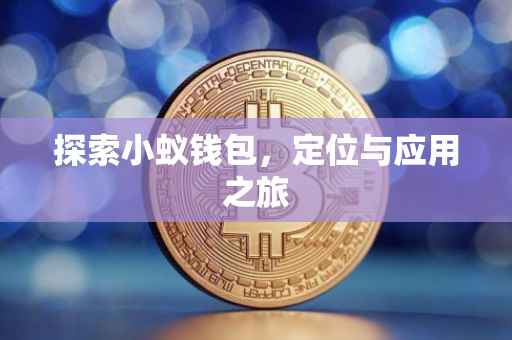 探索小蚁钱包，定位与应用之旅