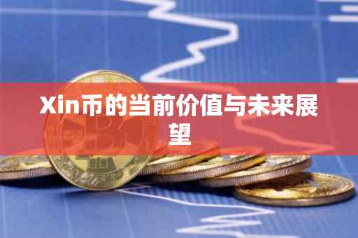 Xin币的当前价值与未来展望