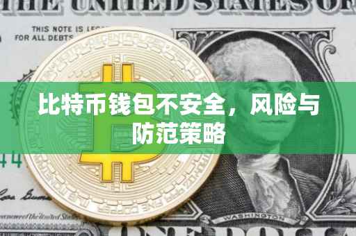 比特币钱包不安全，风险与防范策略