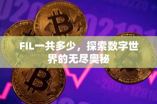FIL一共多少，探索数字世界的无尽奥秘