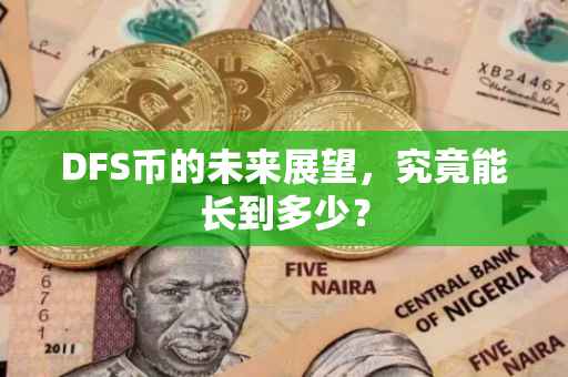 DFS币的未来展望，究竟能长到多少？