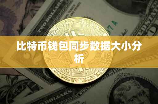 比特币钱包同步数据大小分析