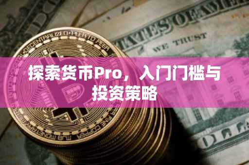 探索货币Pro，入门门槛与投资策略