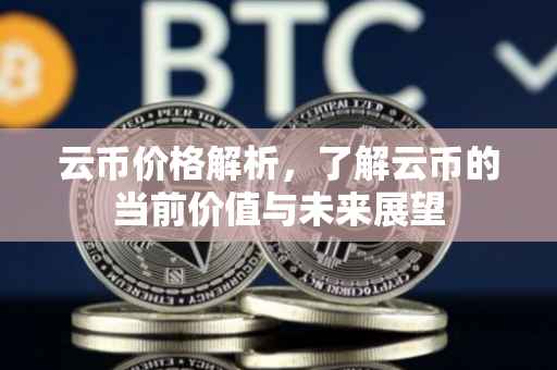云币价格解析，了解云币的当前价值与未来展望