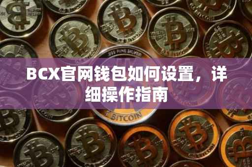 BCX官网钱包如何设置，详细操作指南