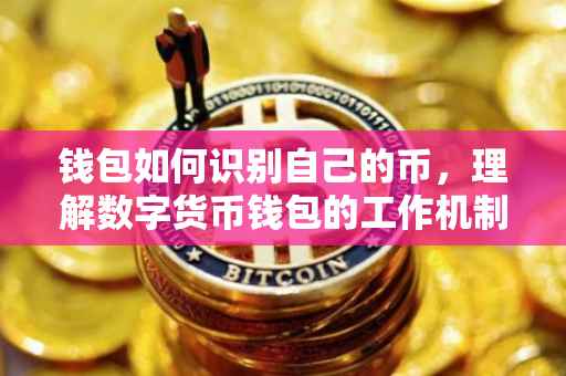 钱包如何识别自己的币，理解数字货币钱包的工作机制