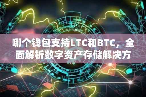 哪个钱包支持LTC和BTC，全面解析数字资产存储解决方案