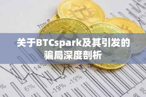关于BTCspark及其引发的骗局深度剖析