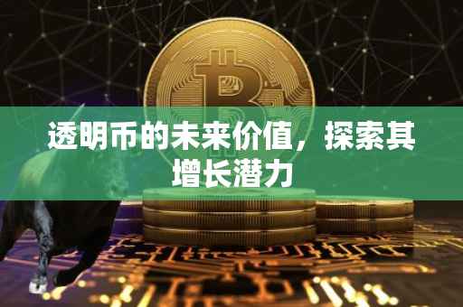 透明币的未来价值，探索其增长潜力