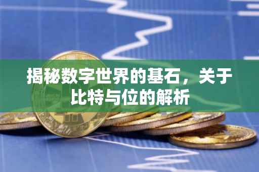 揭秘数字世界的基石，关于比特与位的解析