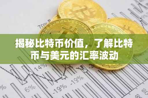 揭秘比特币价值，了解比特币与美元的汇率波动