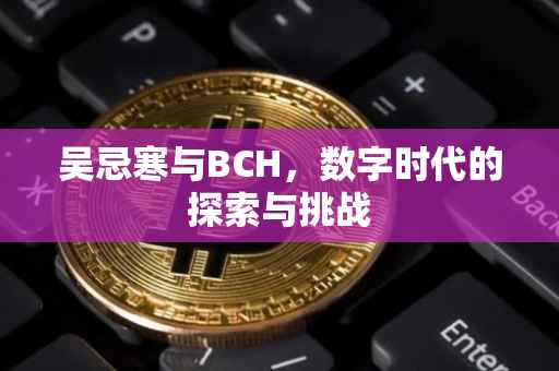 吴忌寒与BCH，数字时代的探索与挑战