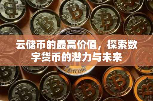 云储币的最高价值，探索数字货币的潜力与未来