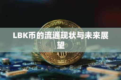 LBK币的流通现状与未来展望