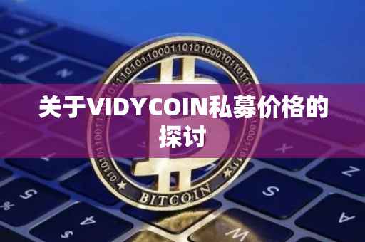 关于VIDYCOIN私募价格的探讨