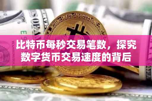 比特币每秒交易笔数，探究数字货币交易速度的背后