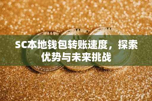 SC本地钱包转账速度，探索优势与未来挑战