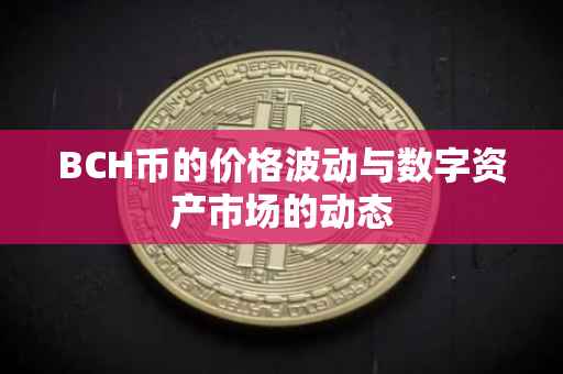 BCH币的价格波动与数字资产市场的动态
