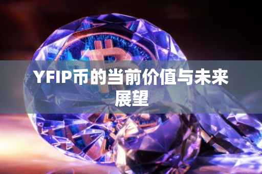 YFIP币的当前价值与未来展望