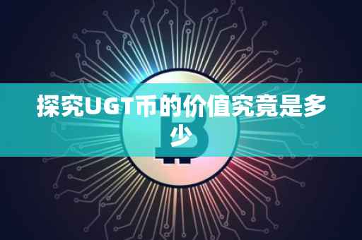 探究UGT币的价值究竟是多少