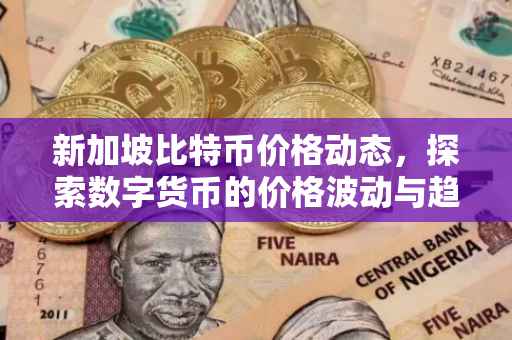 新加坡比特币价格动态，探索数字货币的价格波动与趋势