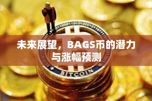 未来展望，BAGS币的潜力与涨幅预测