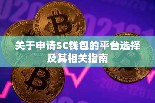 关于申请SC钱包的平台选择及其相关指南