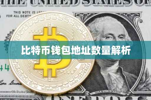 比特币钱包地址数量解析