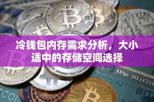 冷钱包内存需求分析，大小适中的存储空间选择