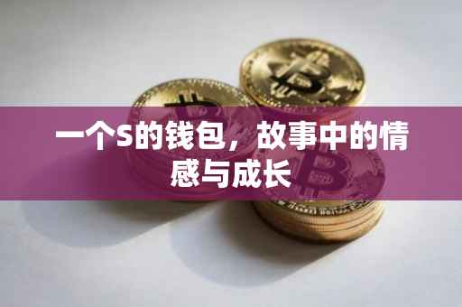 一个S的钱包，故事中的情感与成长
