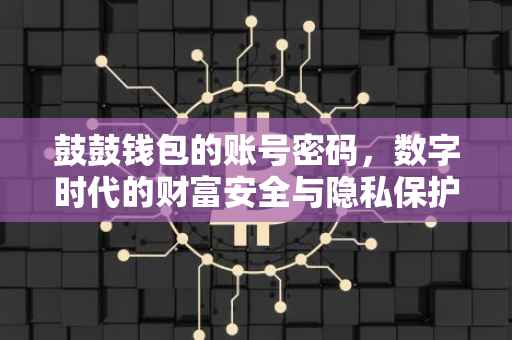 鼓鼓钱包的账号密码，数字时代的财富安全与隐私保护