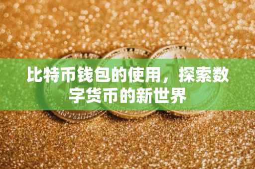 比特币钱包的使用，探索数字货币的新世界