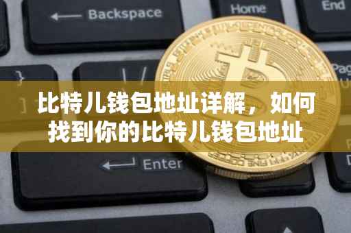比特儿钱包地址详解，如何找到你的比特儿钱包地址