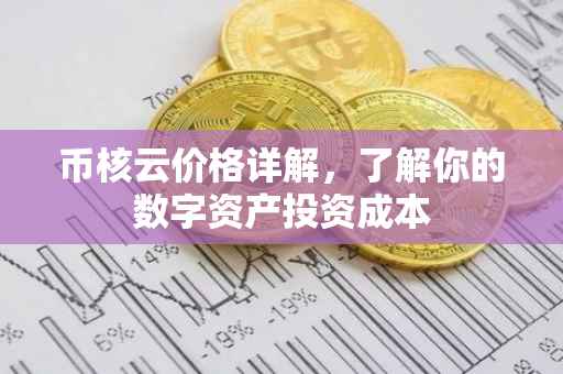 币核云价格详解，了解你的数字资产投资成本