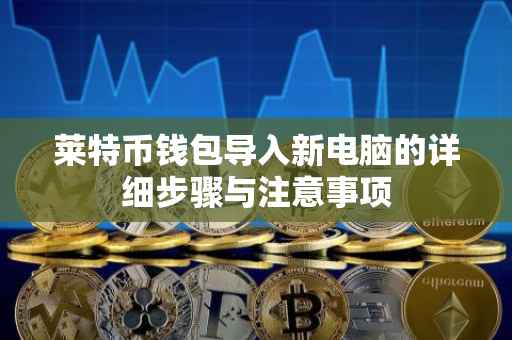莱特币钱包导入新电脑的详细步骤与注意事项