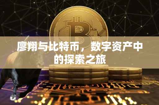 廖翔与比特币，数字资产中的探索之旅