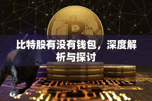 比特股有没有钱包，深度解析与探讨